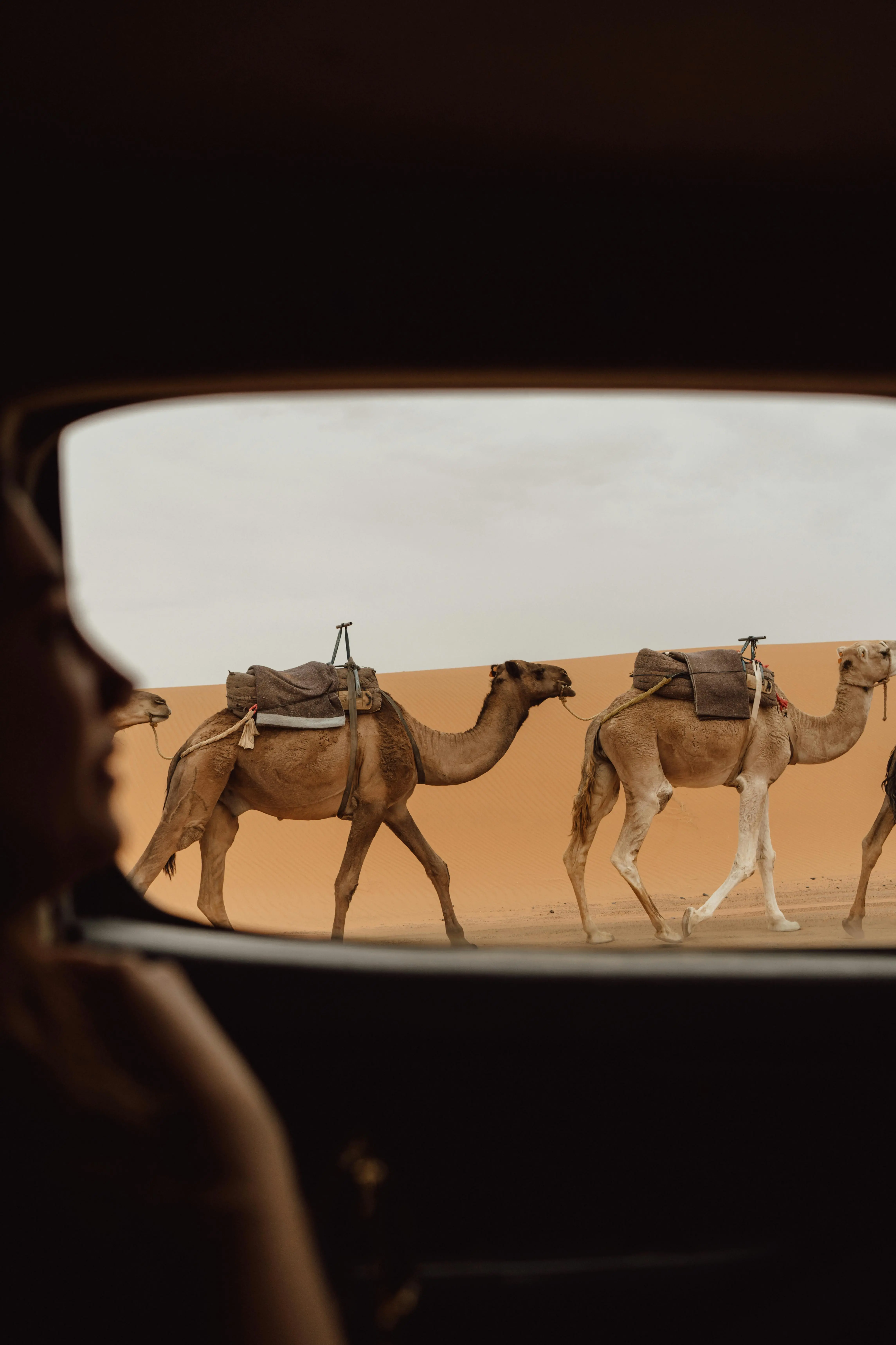 Camel Caravan Journey