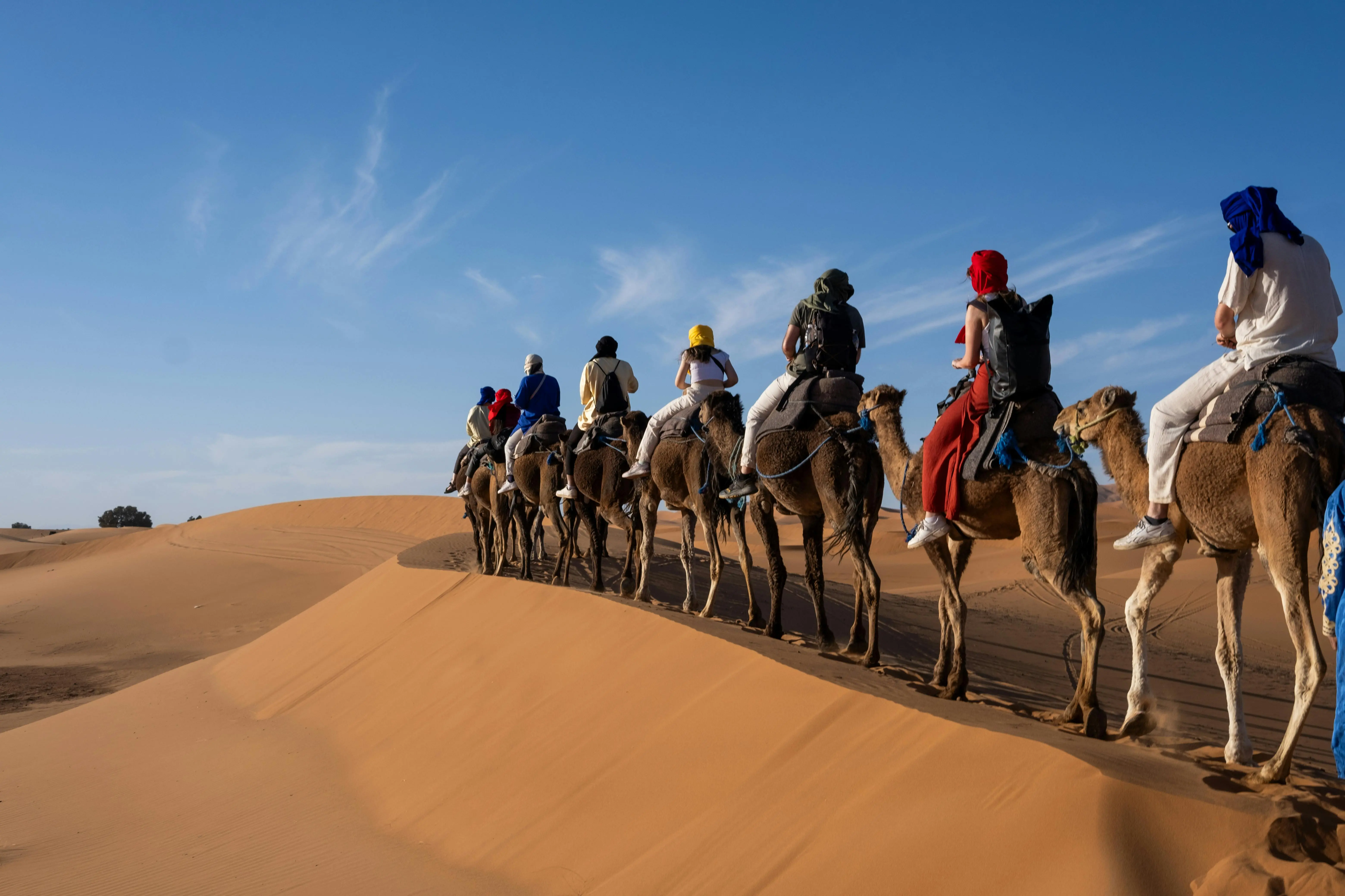 Camel Trekking