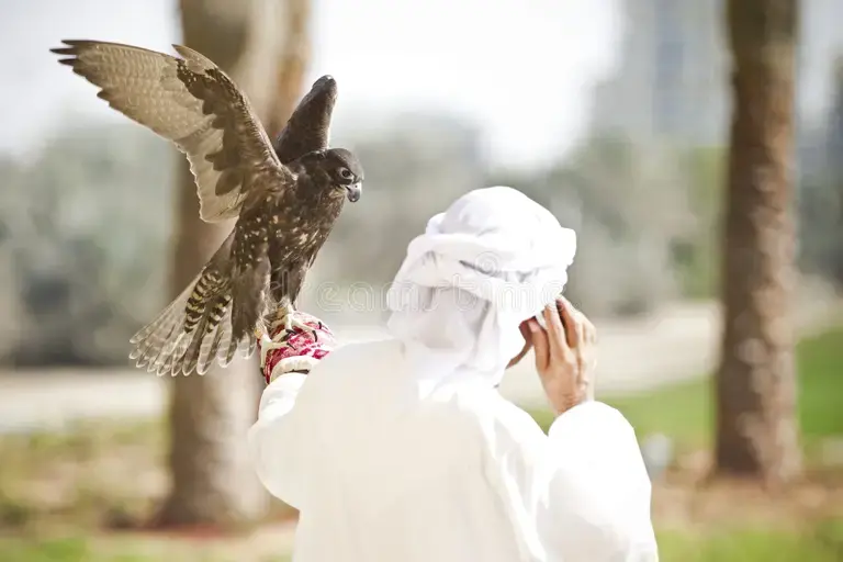 Falcon in Flight