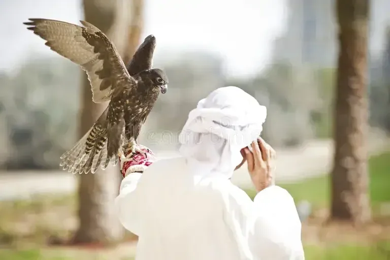 Falcon in Flight