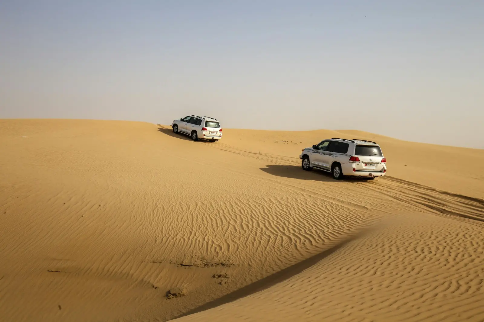 Morning Desert Safari