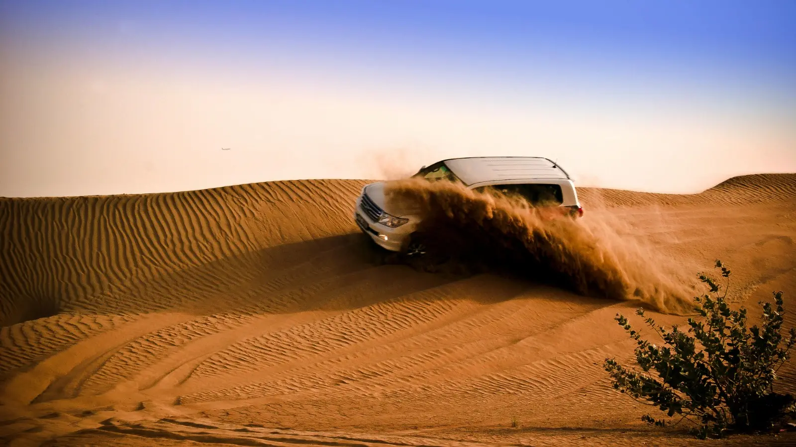 Sunset Desert Safari